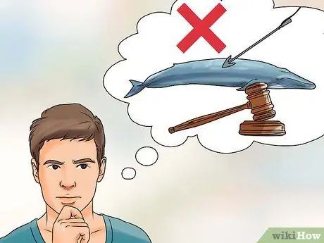 Помогите остановить китобойный промысел Шаг 2