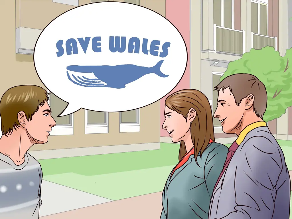 3 способа остановить китобойный промысел