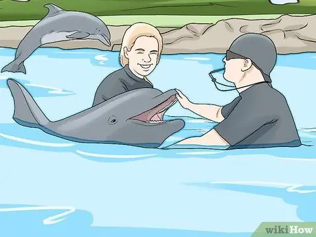 Погладить дельфина Шаг 1