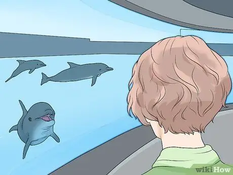 Погладить дельфина Шаг 2