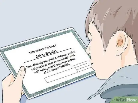 Погладить дельфина Шаг 4