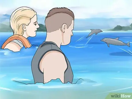 Погладить дельфина Шаг 6