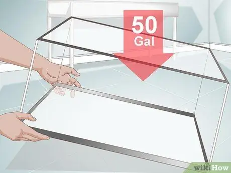 Уход за рыбками с серебряным долларом Шаг 1