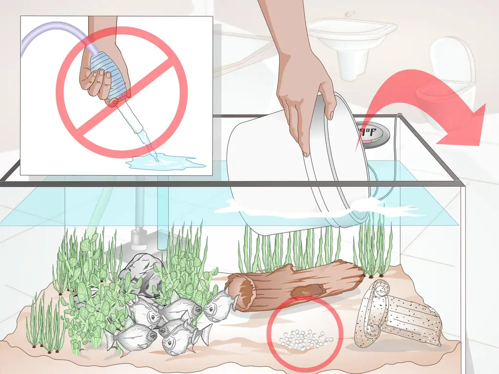 Как ухаживать за рыбкой-серебрянным долларом: 14 шагов (с иллюстрациями)