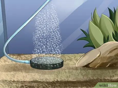 Очистите воздушный камень Шаг 8