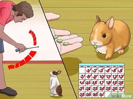 Научите кролика перепрыгивать через что-нибудь Шаг 6