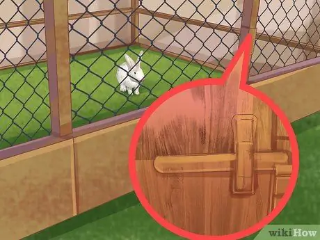 Дизайн игровой площадки для кроликов Шаг 5