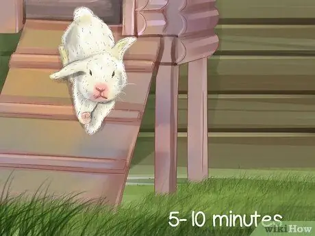 Создайте детскую площадку для кроликов Шаг 6