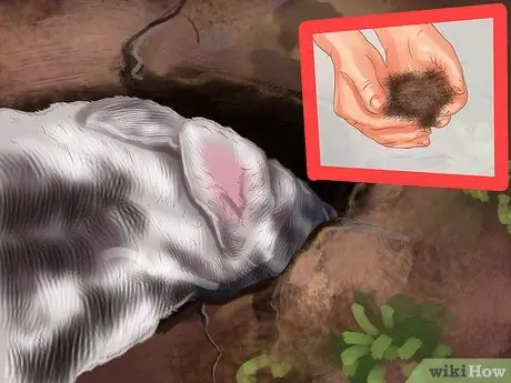 Создайте детскую площадку для кроликов, шаг 7