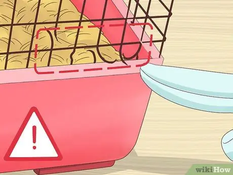 Вылечить перелом ноги кролика Шаг 10