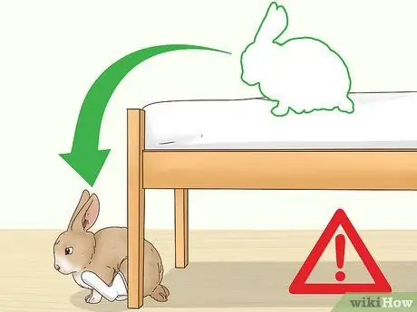 Вылечить перелом ноги кролика Шаг 13