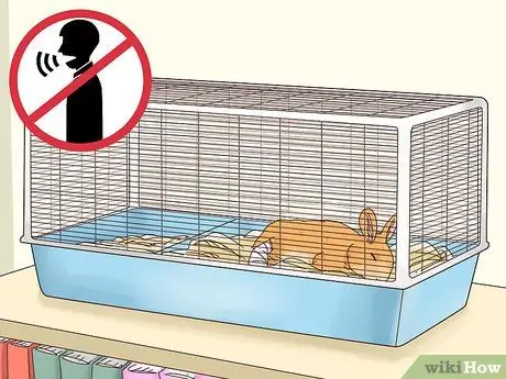 Вылечить перелом ноги кролика Шаг 6