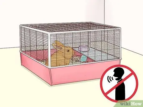 Вылечить перелом ноги кролика Шаг 9