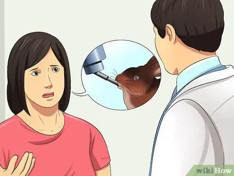 Лечить проблемы с пищеварением у кроликов Шаг 7