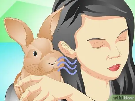 Определите, болен ли ваш кролик Шаг 5