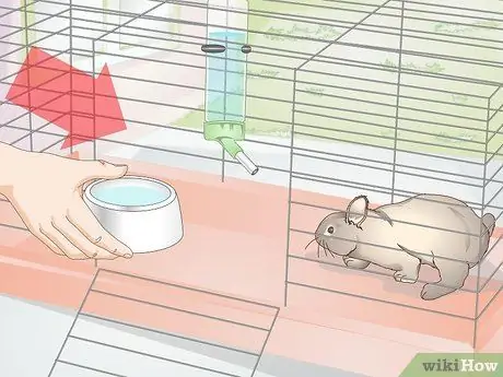 Диагностика теплового удара у кроликов Шаг 12