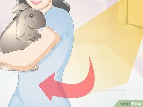 Диагностика теплового удара у кроликов Шаг 7