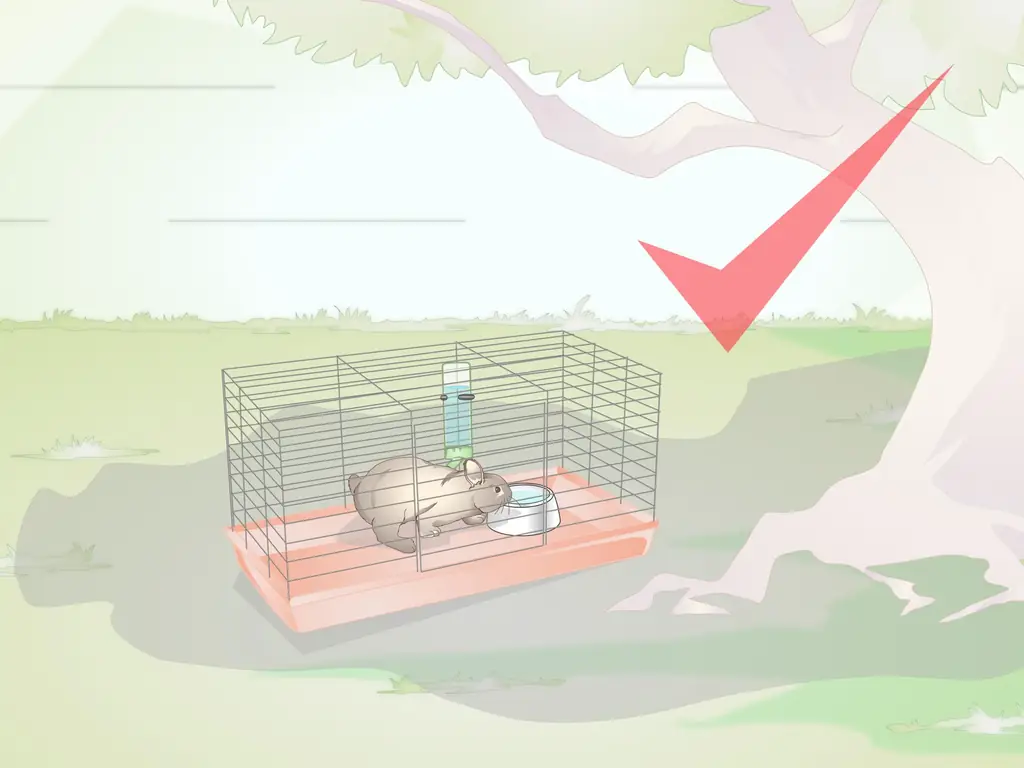 Как диагностировать тепловой удар у кроликов: 14 шагов (с изображениями)