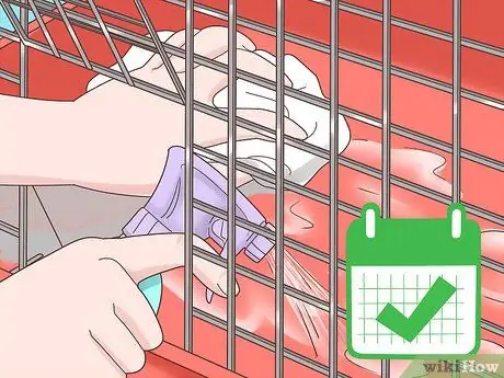 Лечить диарею у кроликов Шаг 15