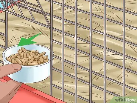 Лечить диарею у кроликов Шаг 7