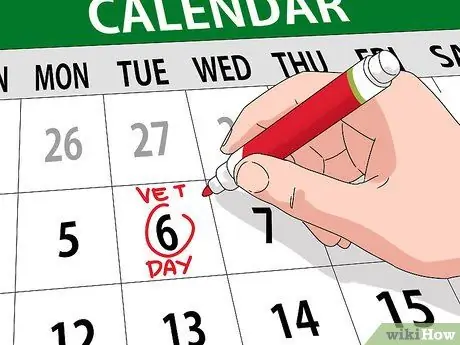 Как узнать, есть ли у вашего кролика слезящиеся глаза Шаг 5