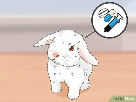 Как узнать, есть ли у вашего кролика слезящиеся глаза Шаг 9