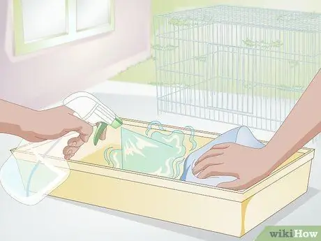 Уход за кроликом после стерилизации или стерилизации Шаг 2