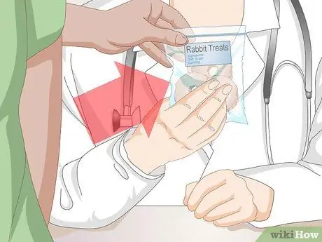 Уход за кроликом после стерилизации или стерилизации Шаг 5