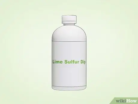 Избавьтесь от клещей на кроликах Шаг 10