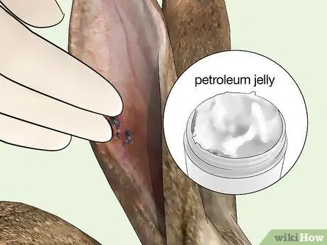 Избавьтесь от клещей на кроликах Шаг 5