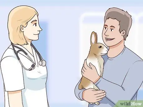 Обеспечьте безопасность домашних кроликов Шаг 12