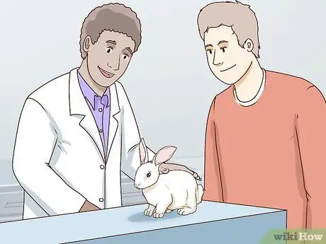 Обеспечьте безопасность домашних кроликов Шаг 13