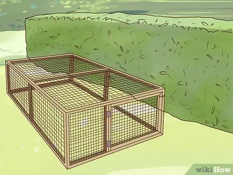Обеспечьте безопасность домашних кроликов Шаг 2