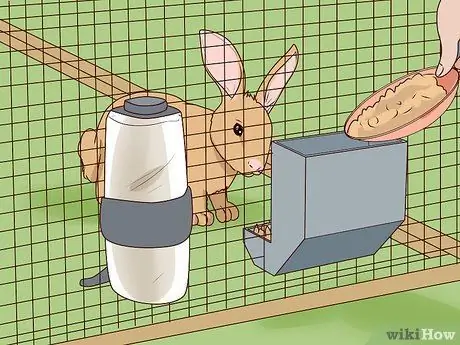 Обеспечьте безопасность домашних кроликов Шаг 4