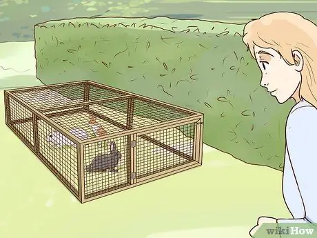 Обеспечьте безопасность домашних кроликов Шаг 5