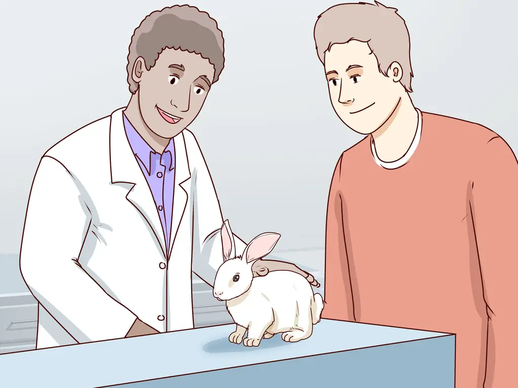 3 способа обезопасить домашних кроликов