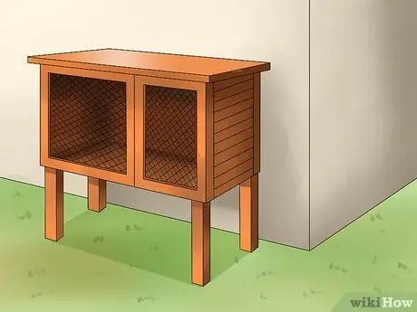 Лечить тепловой удар у кроликов Шаг 15