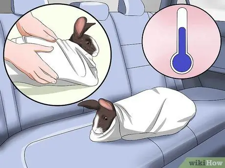 Лечить тепловой удар у кроликов Шаг 6