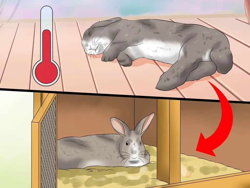 4 способа лечения теплового удара у кроликов