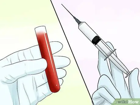 Диагностика респираторных заболеваний у кроликов Шаг 10