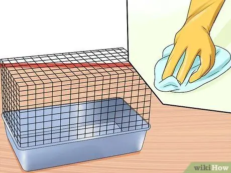 Диагностика респираторных заболеваний у кроликов Шаг 8