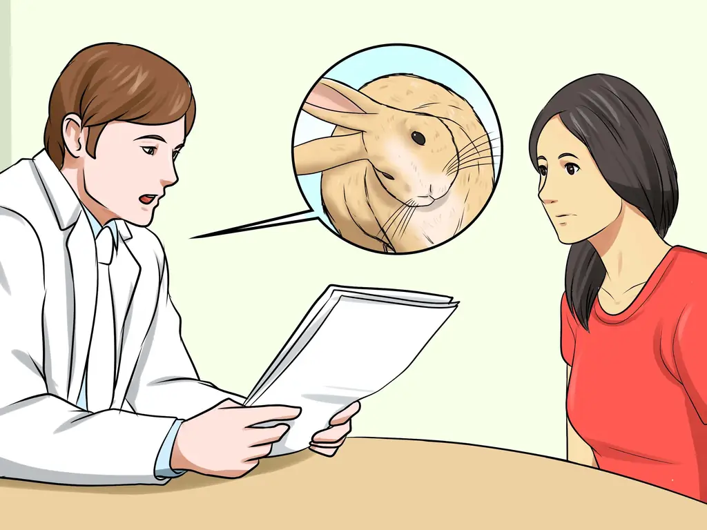 Как диагностировать респираторные проблемы у кроликов: 11 шагов