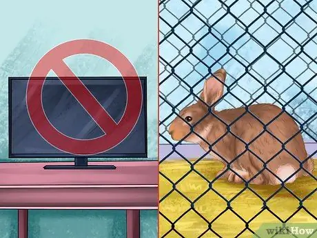 Лечить нюхательный табак (пастерелла) в кроликах, шаг 10