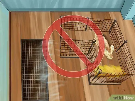 Лечить нюхательный табак (пастерелла) в кроликах, шаг 11