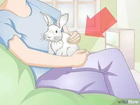 Держи кролика Шаг 7