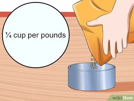 Уход за пожилым кроликом Шаг 11