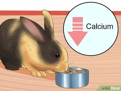 Уход за пожилым кроликом Шаг 6