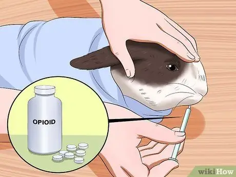 Успокоить кролика во время грозы Шаг 10