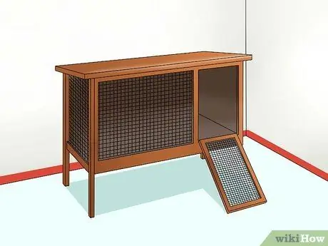 Успокойте кролика во время грозы. Шаг 2