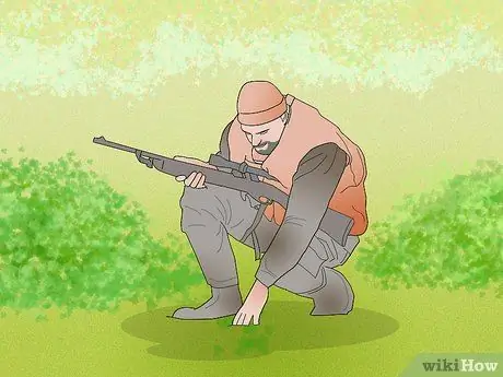 Охота на диких свиней Шаг 11